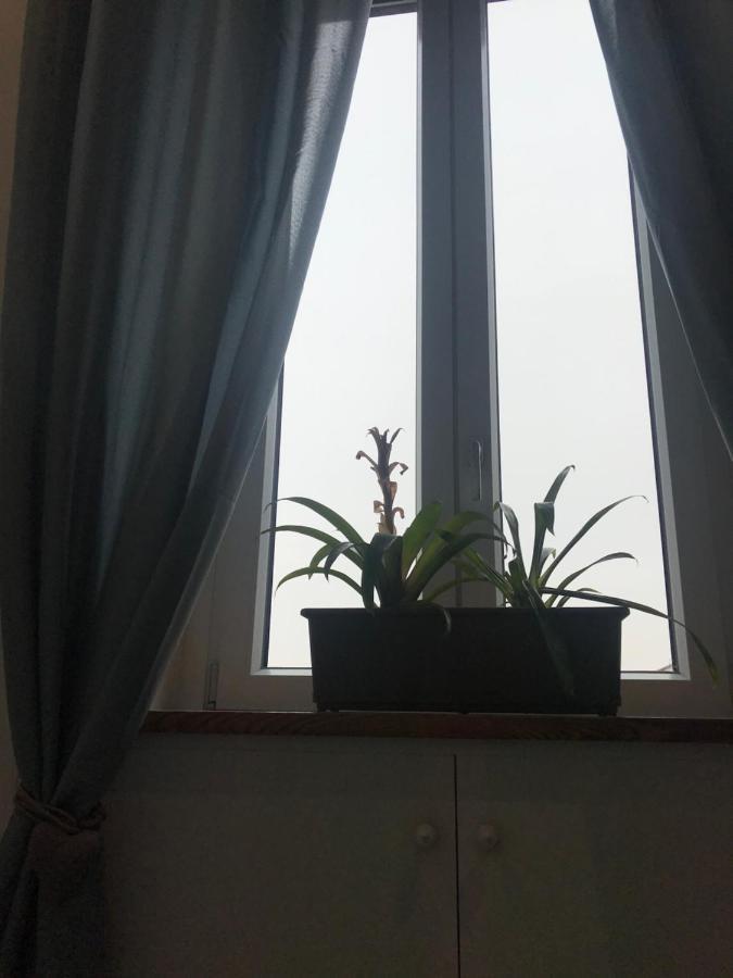 Rosa Verde 卡塞勒托瑞尼斯 外观 照片